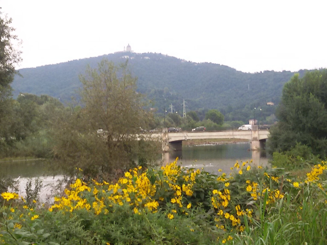 Parco dell'Arrivore景点图片