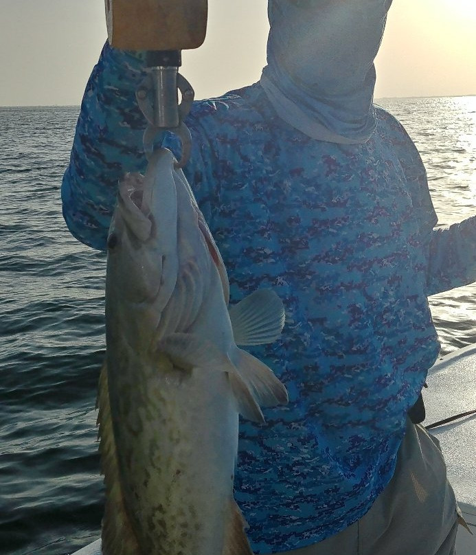 Captain Aaron Lowman Fishing Charters-Holmes Beach必去景点