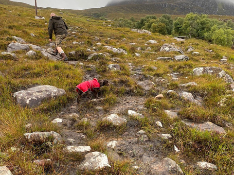 Clashnessie Falls-Clashnessie必去景点