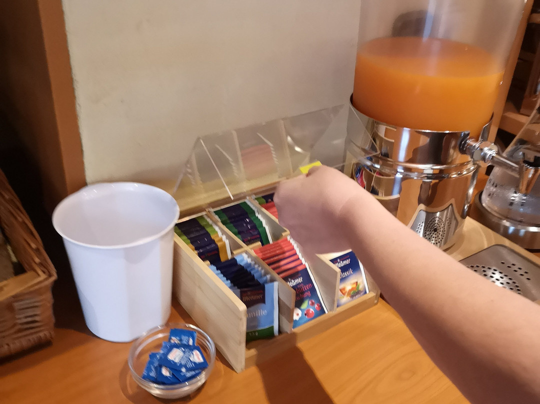 Hotel & Restaurant Singender Wirt主图