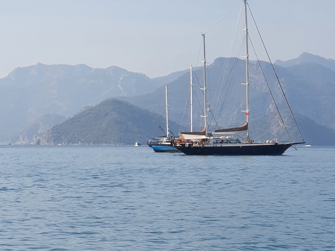Mehmet kara Private Boat Trip景点图片