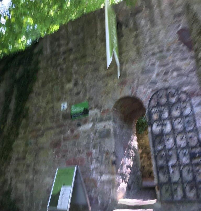 Oberburg Giebichenstein-哈雷必去景点