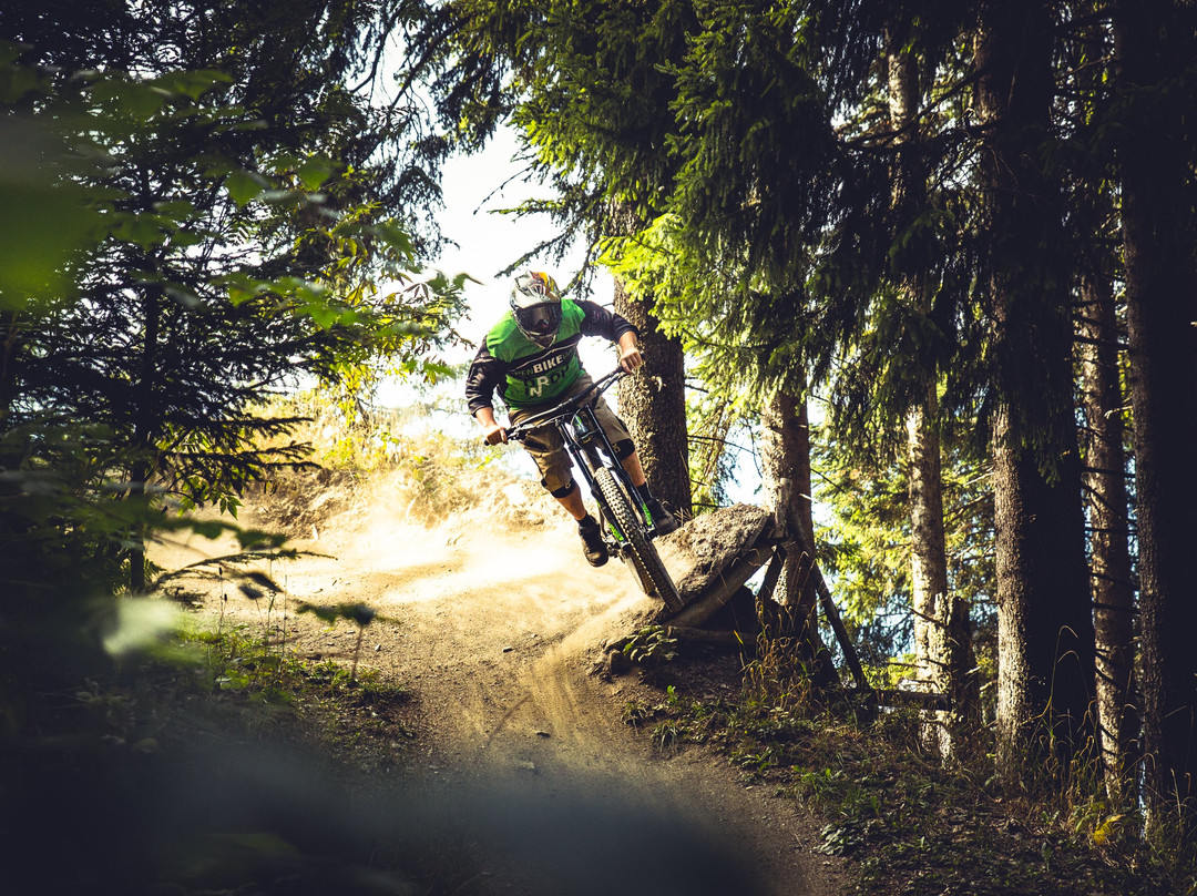 Alpenbikepark Chur景点图片