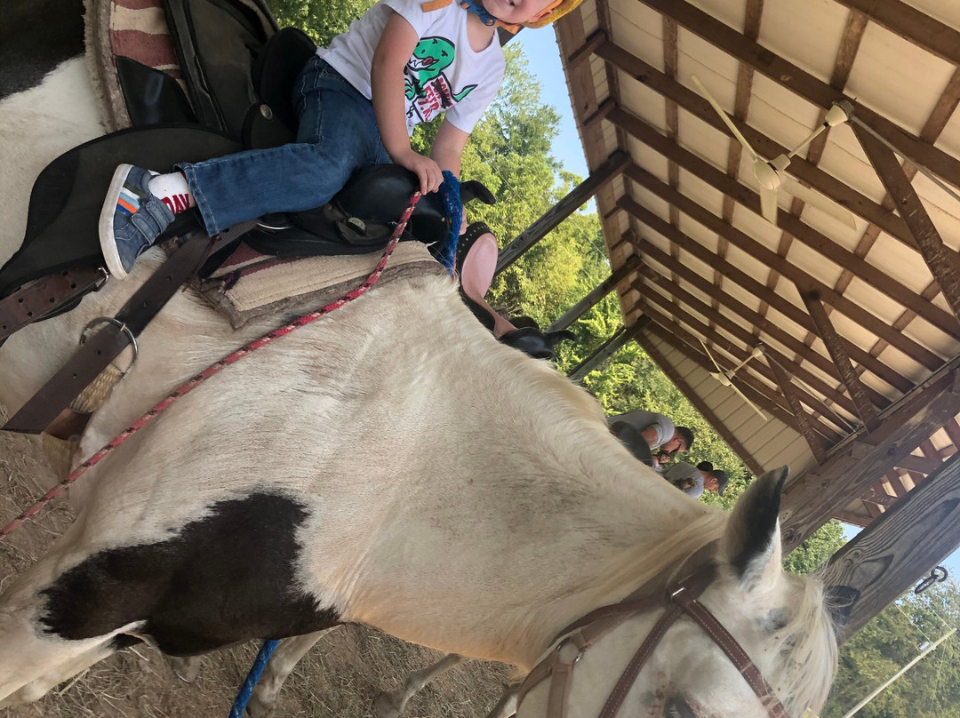 Santa's Stables-圣克劳斯必去景点