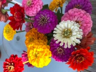 Homestead Farms-Poolesville必去景点