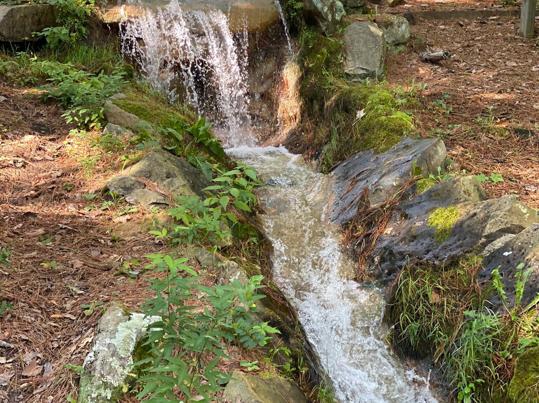 Crowley Ridge State Park-Paragould必去景点