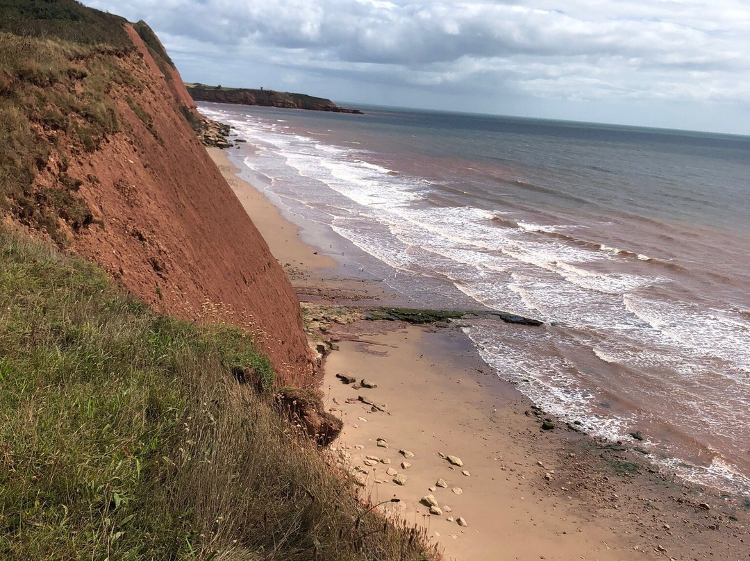 Exmouth & Orcombe Point Walk-埃克斯茅斯必去景点