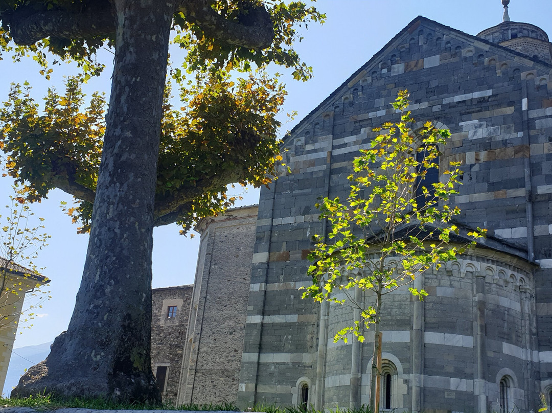 Chiesa Santa Maria del Tiglio景点图片