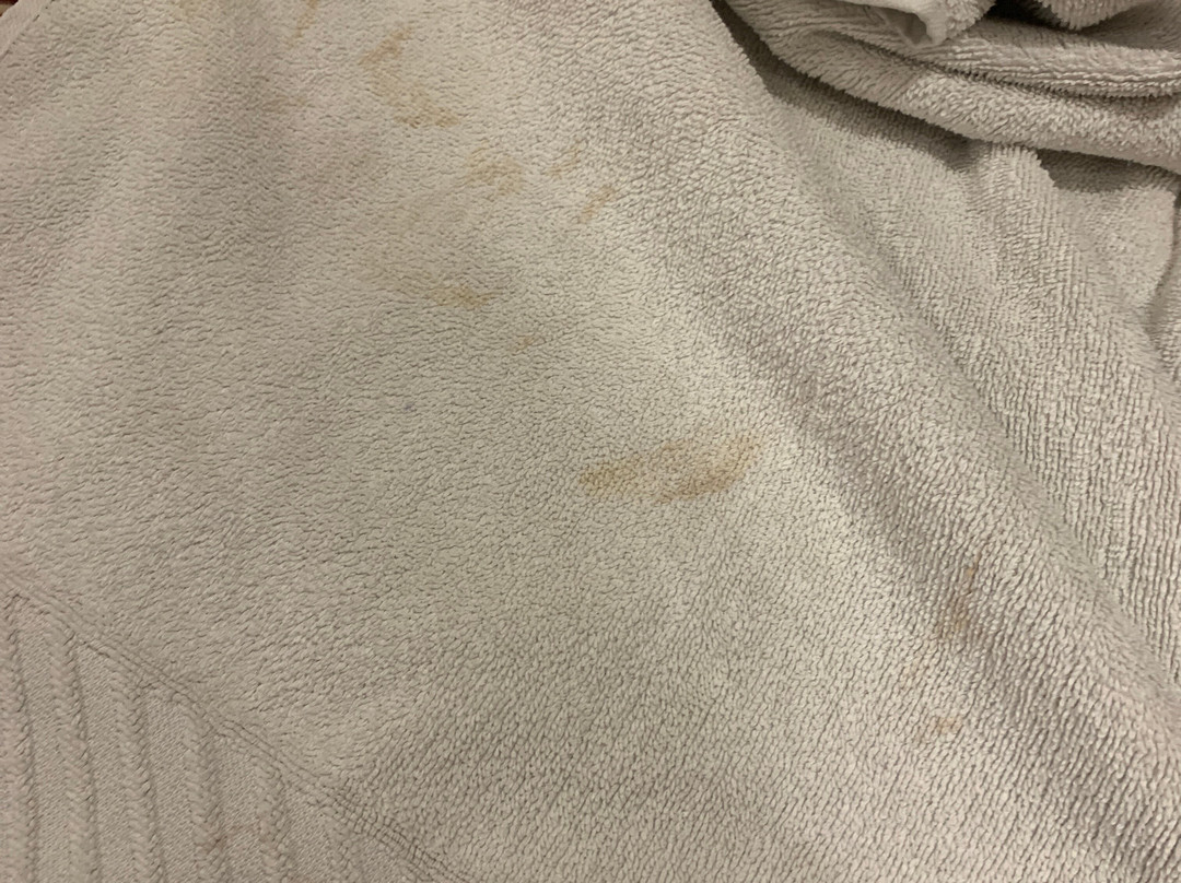 Hotel Chandigarh Beckons主图