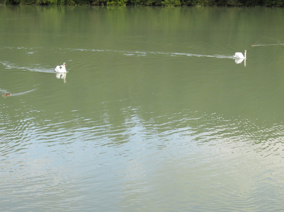 Lake Zbilje景点图片