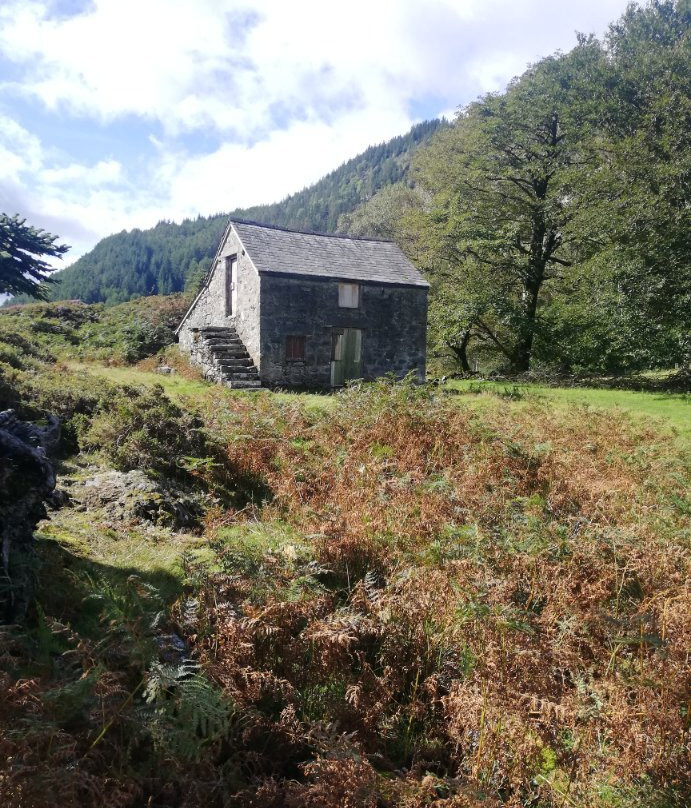 Llyn Geirionydd景点图片