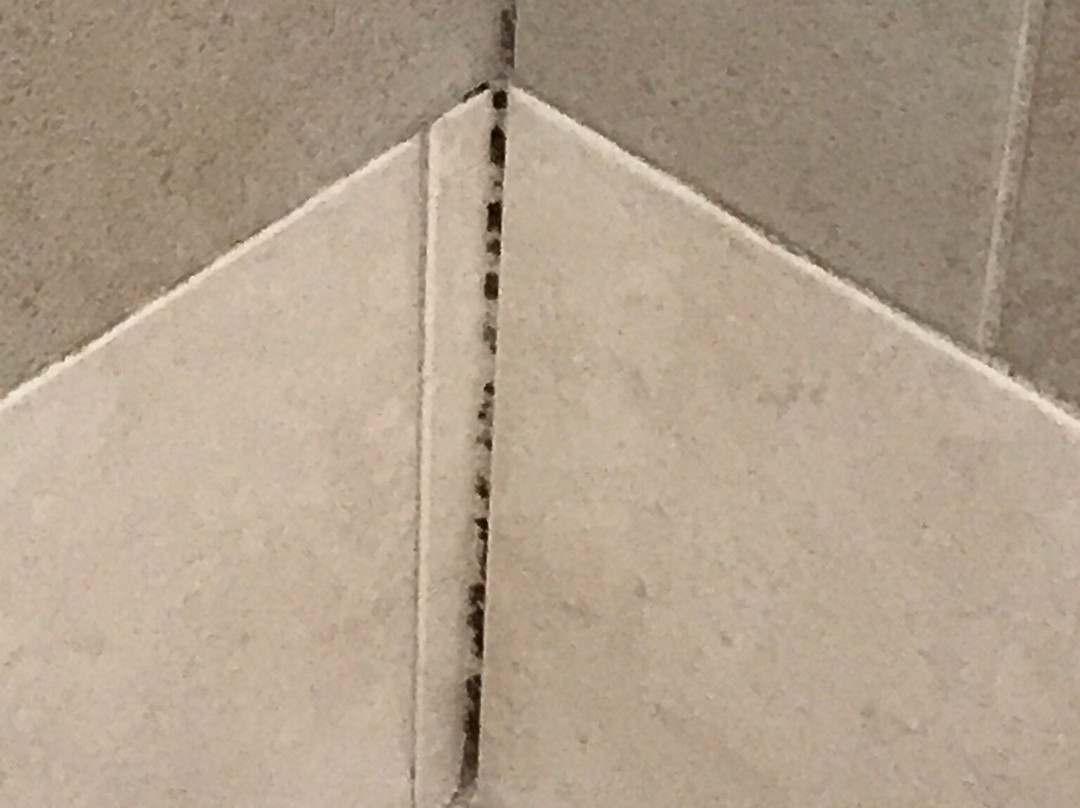 Hotel Restaurant Les Magnanarelles主图