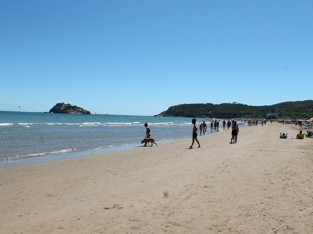 Spiaggia di Portonuovo景点图片