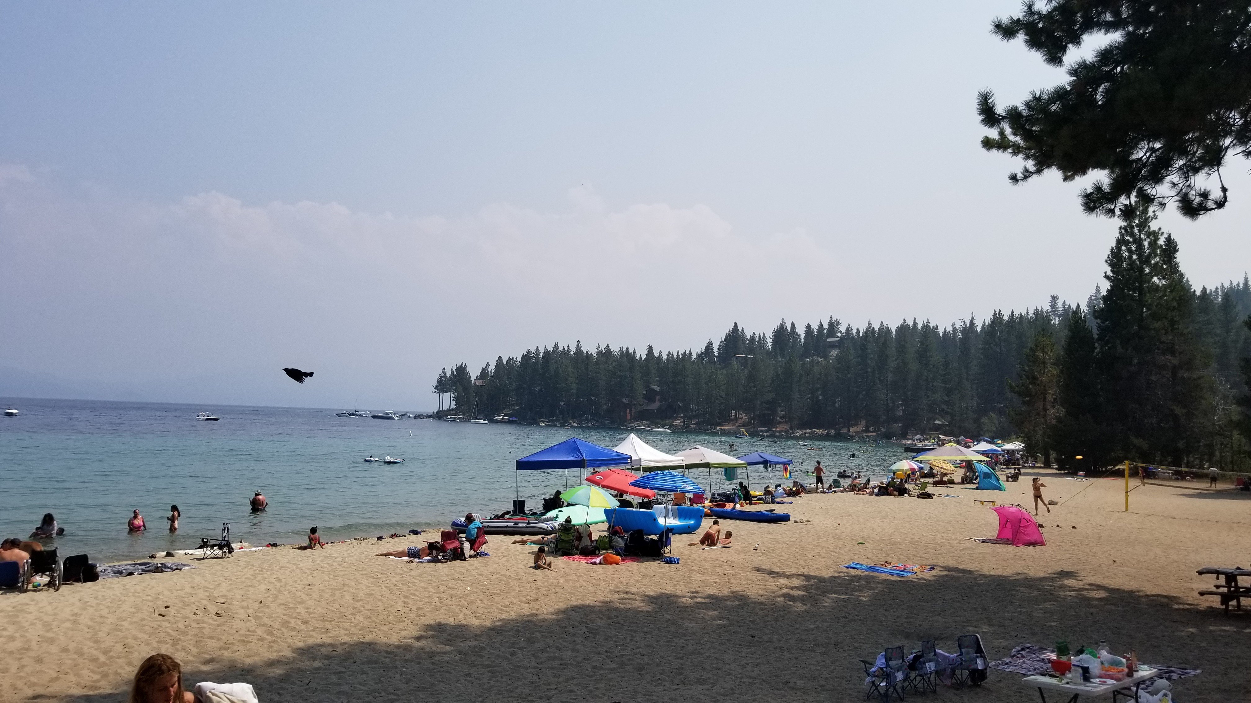 Meeks Bay Resort-泳池
