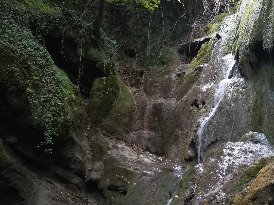 Agriturismo La Ferraia主图