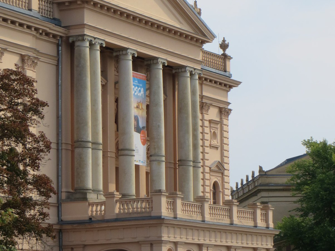 Mecklenburgisches Staatstheater景点图片