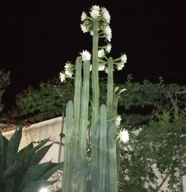 Villa Ca del Mar主图