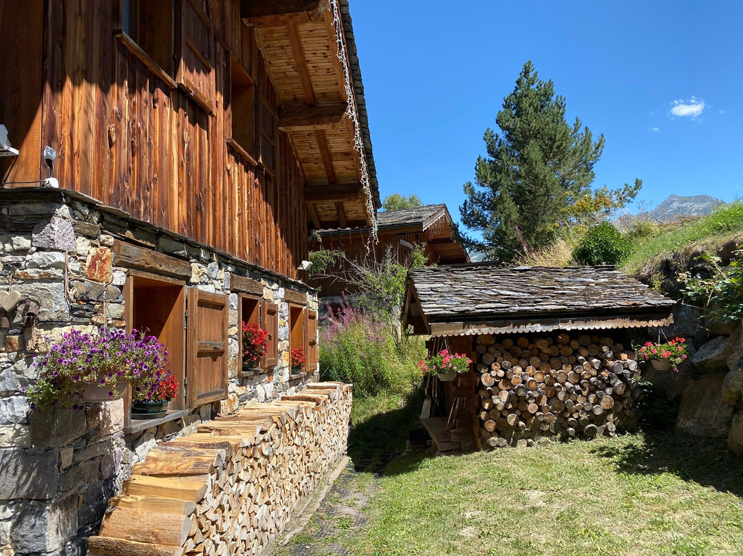 Chalet "Au Mont d'Eden"主图