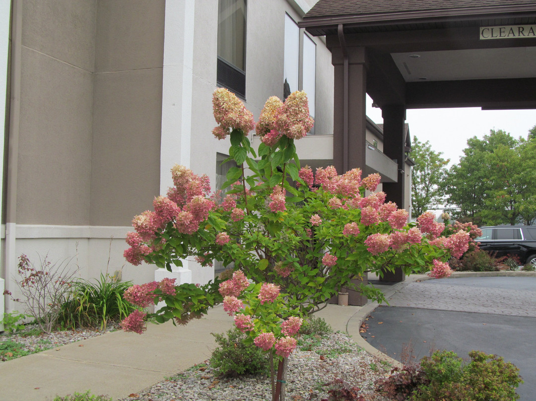 Best Western Plus University Inn主图