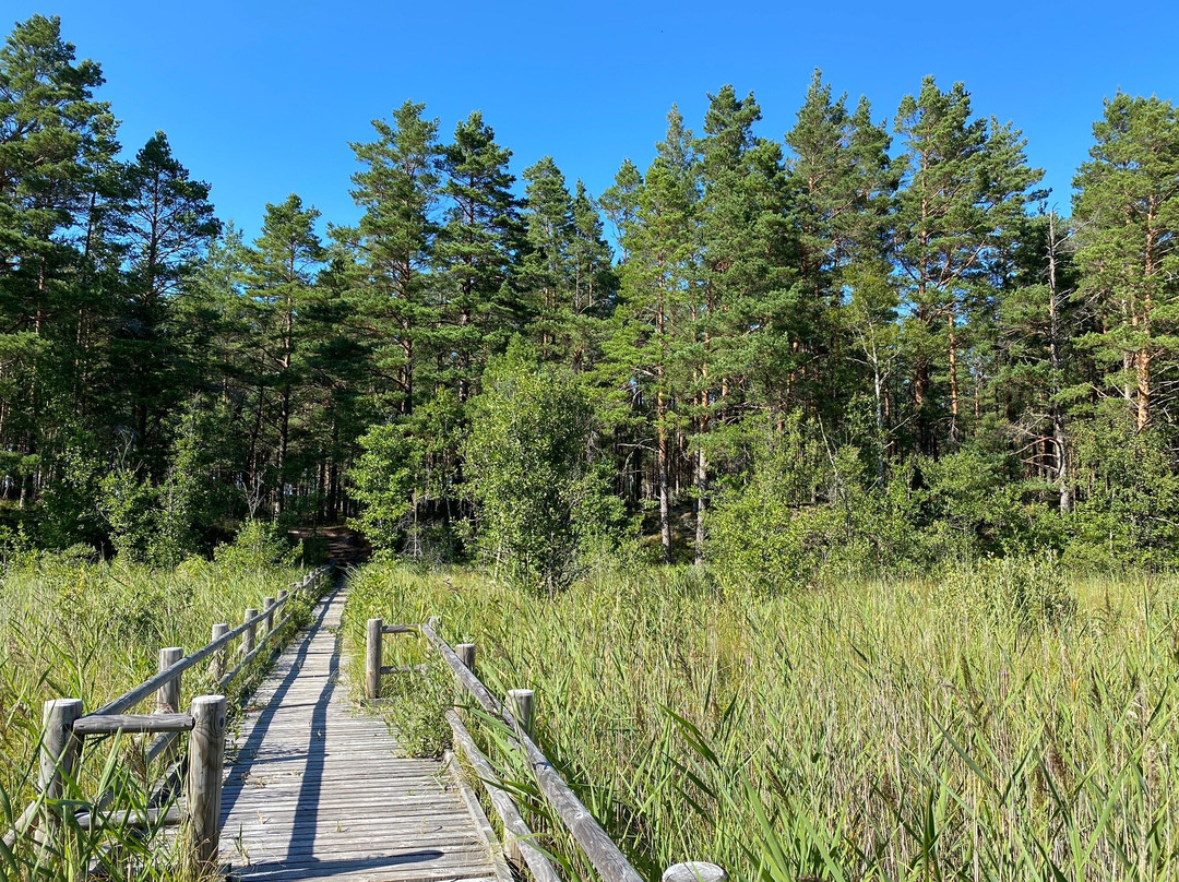 The Peterezers nature trail景点图片