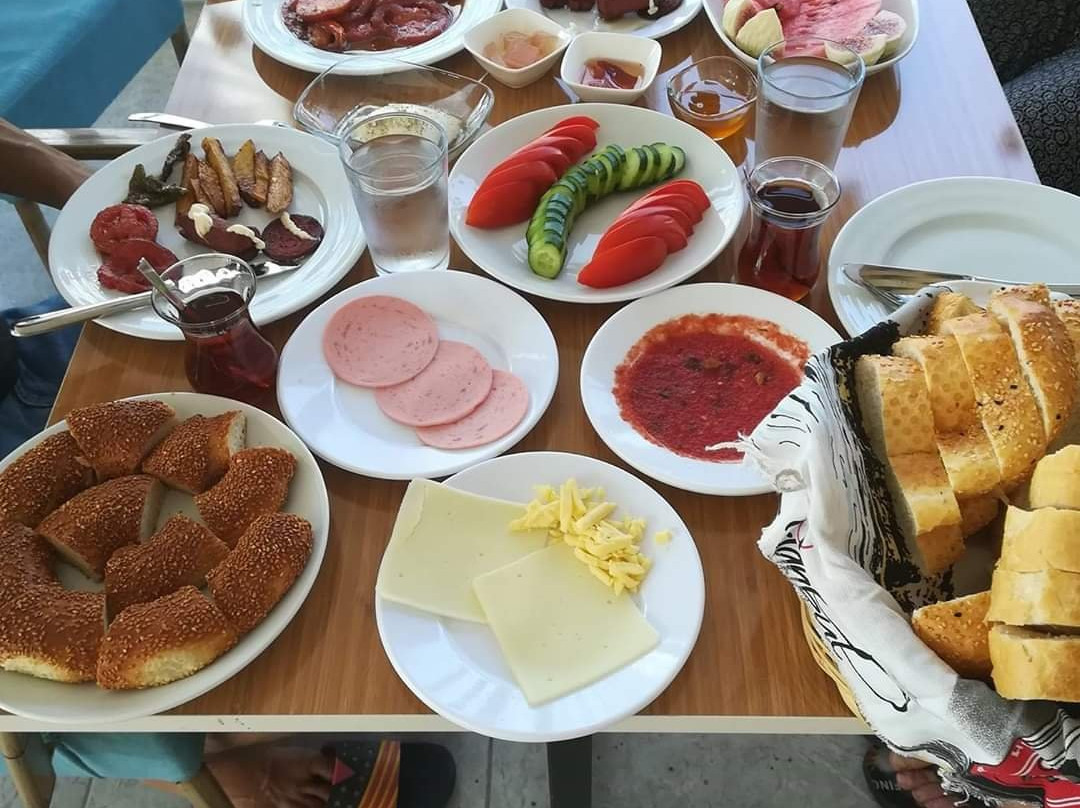 Çelik Otel Mut主图