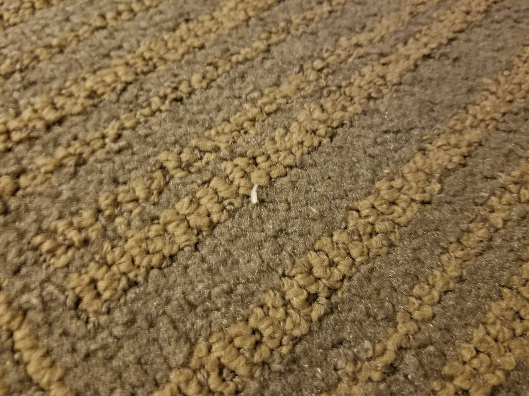 Hampton Inn Gaylord主图