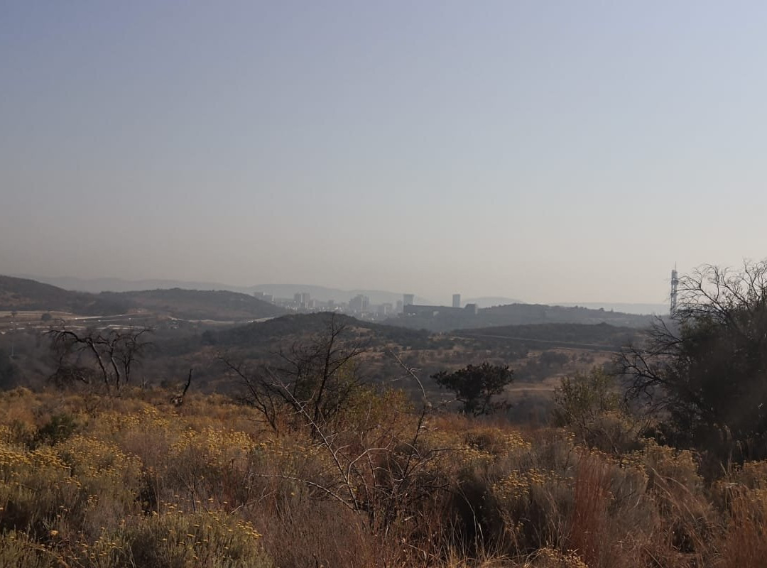 Groenkloof Nature Reserve景点图片