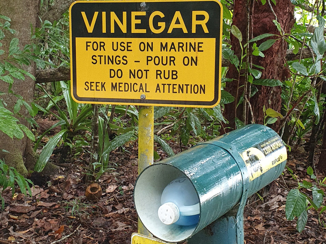 Cape Tribulation Beach-Cape Tribulation必去景点