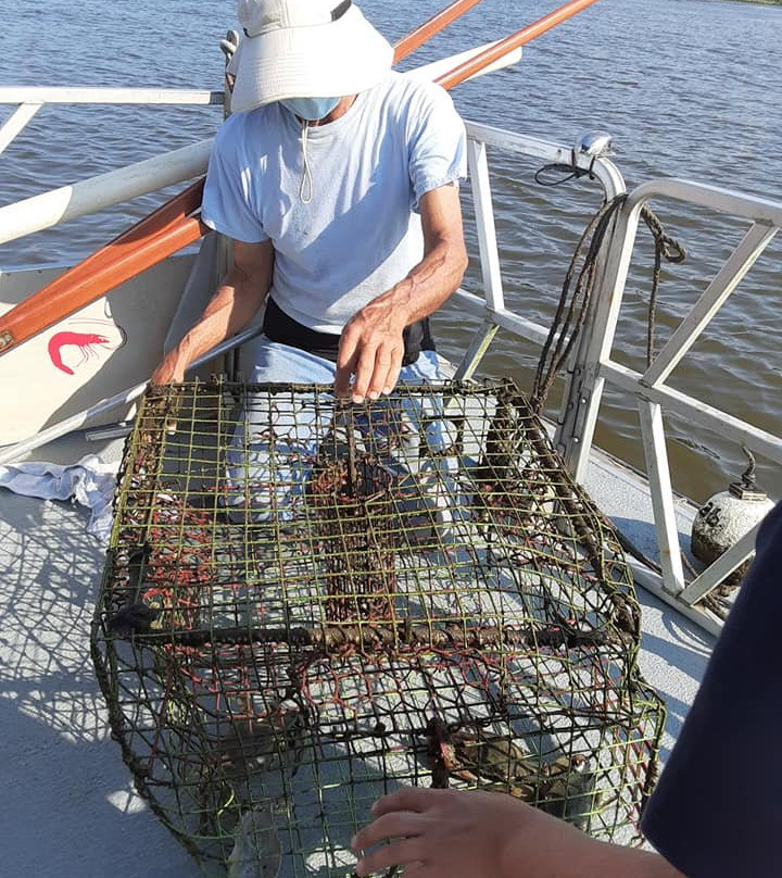 Sailaway Charters-橙色海湾必去景点