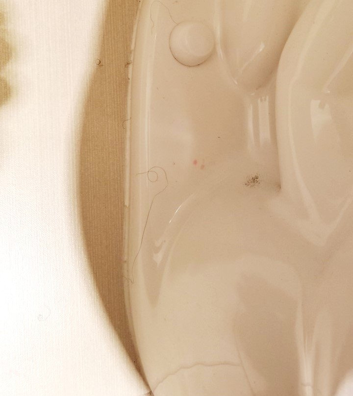 Homewood Suites by Hilton Toledo-Maumee主图