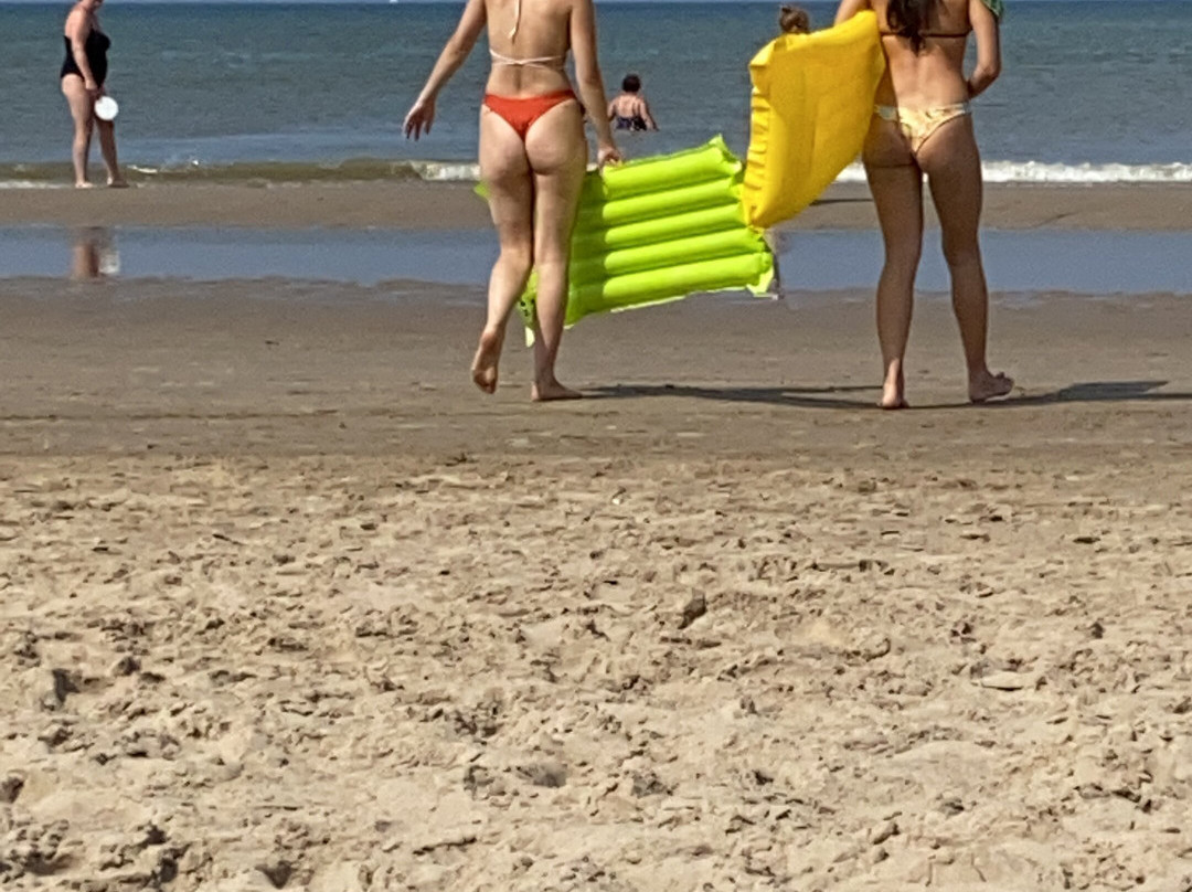 het strand van Bergen aan Zee景点图片