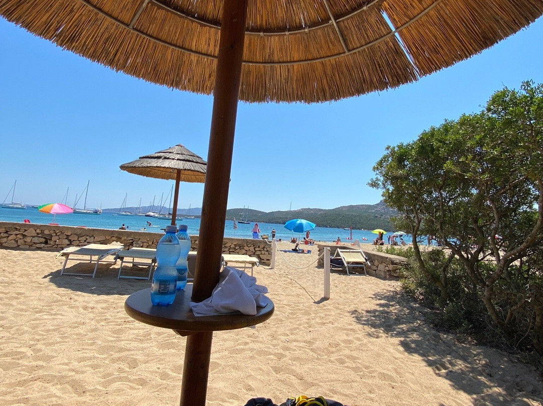 Mali Beach Bar-帕劳必去景点