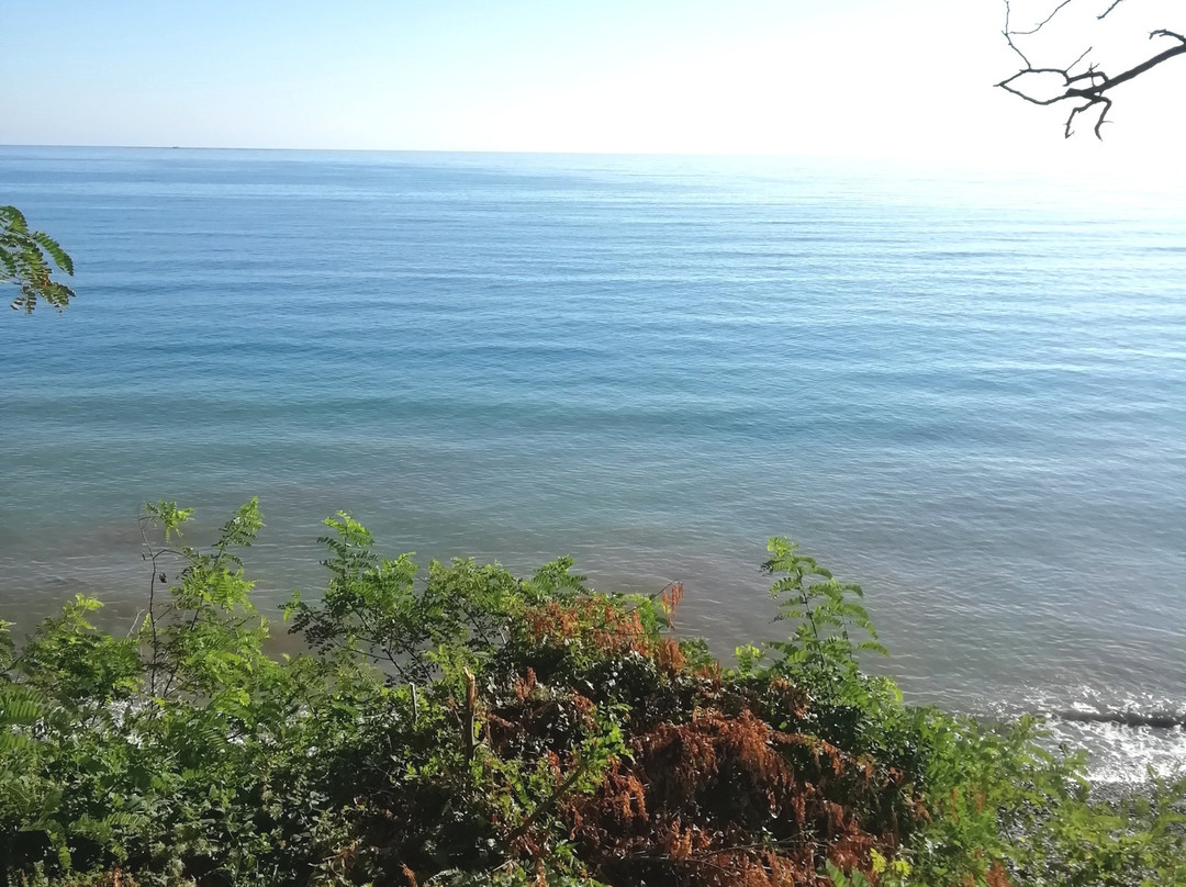 North Star Hotel主图