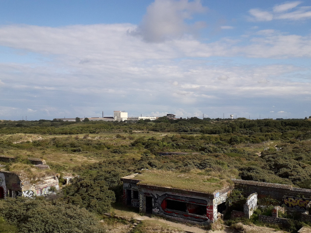 Batterie de Zuydcoote景点图片