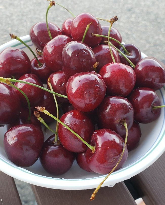 Mount View Motel主图