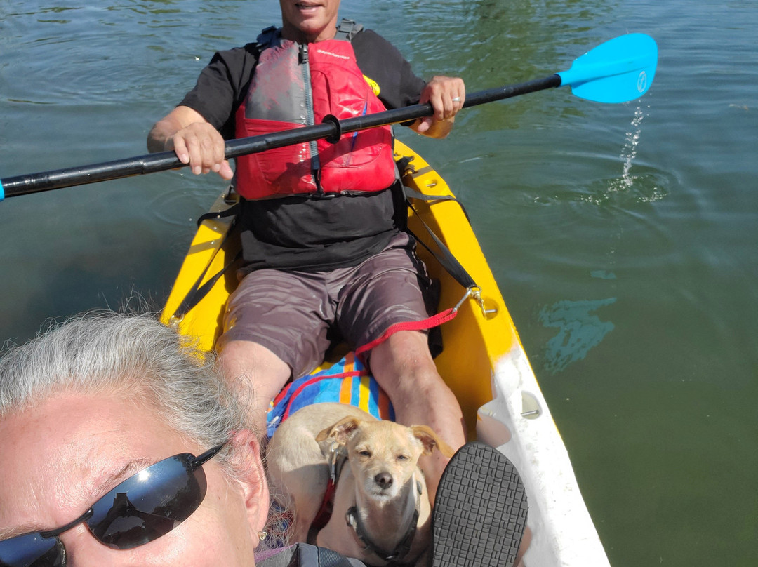 Lodi Lake Park-洛迪必去景点