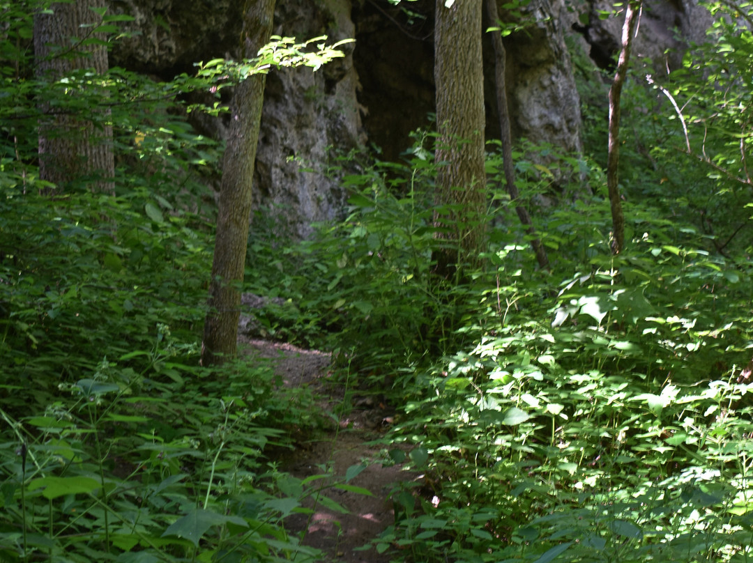 Falls Ridge Preserve-Elliston必去景点