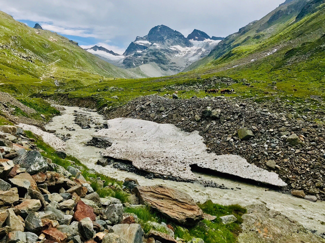 Silvretta-Bielerhöehe景点图片