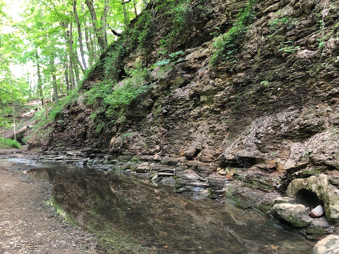 Shale Hollow Park-Lewis Center必去景点