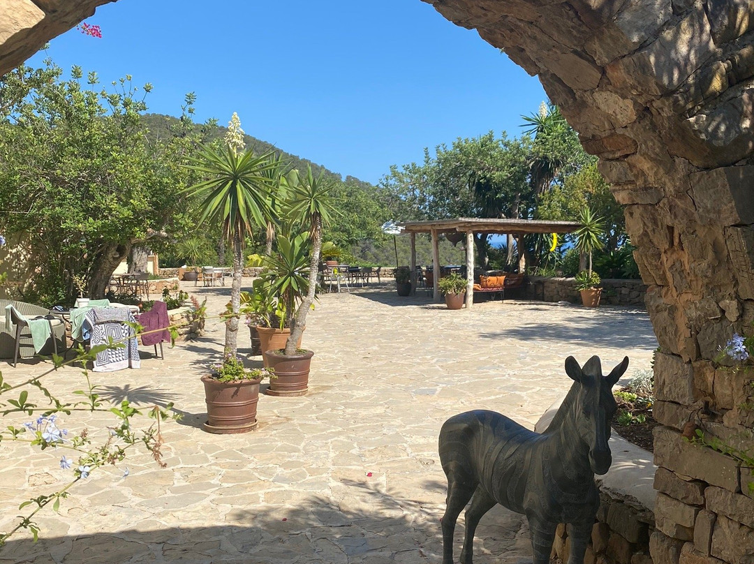Agroturismo Can Talaias主图