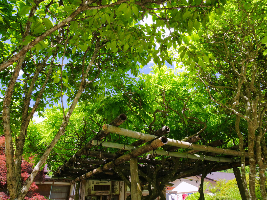 Mt. Zuiryusan Hounji Temple - No. 30 Amulets Place-秩父市必去景点