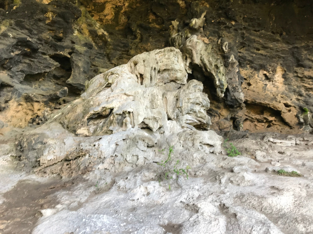 Tarragal Caves景点图片