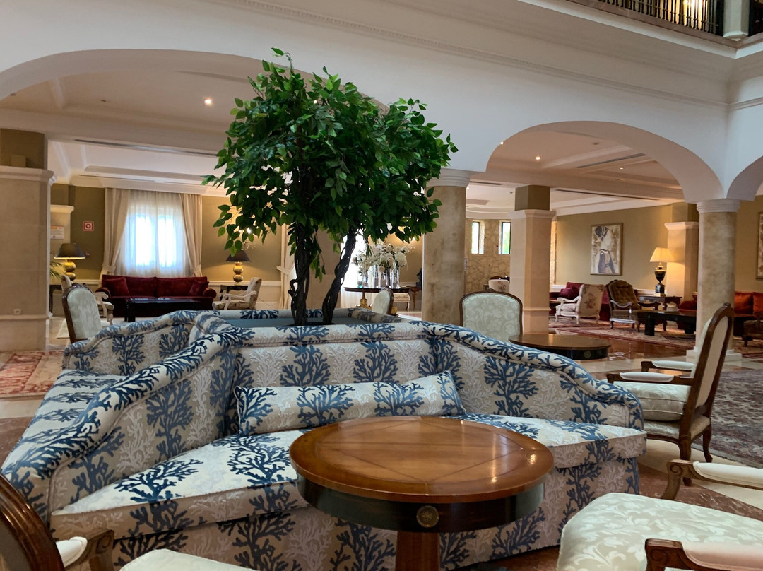 坎迪多酒店主图