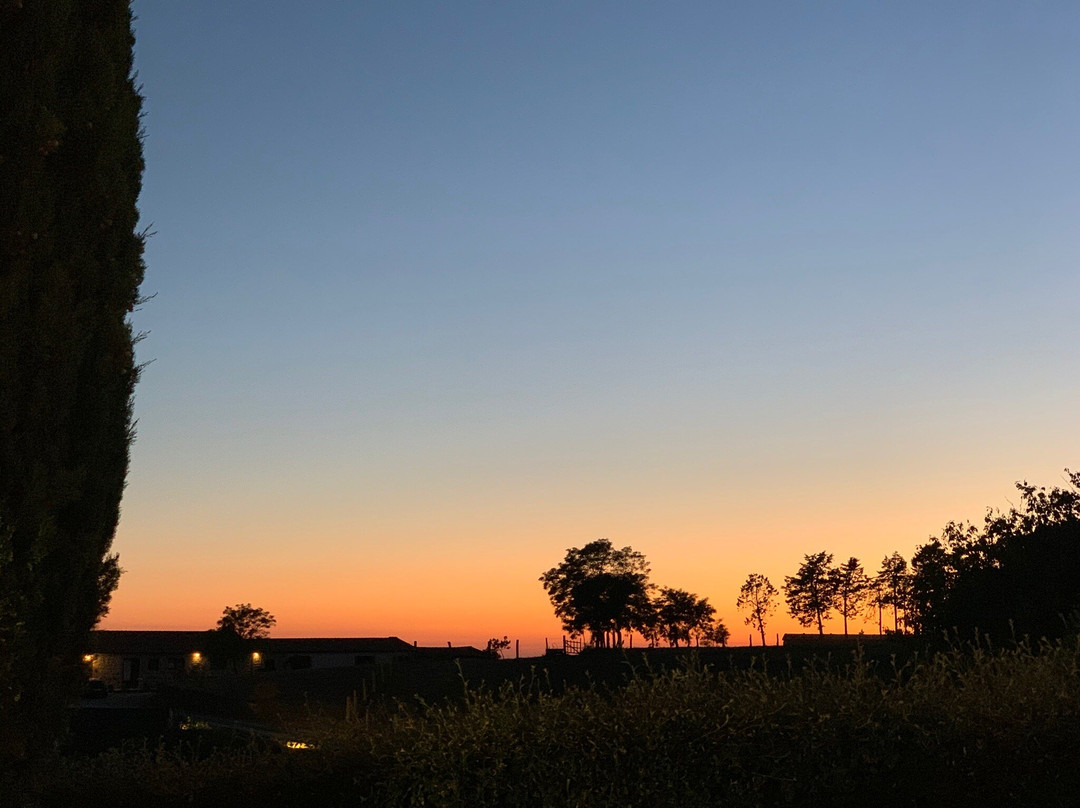 Agriturismo La Poderina E Gli Olmi主图