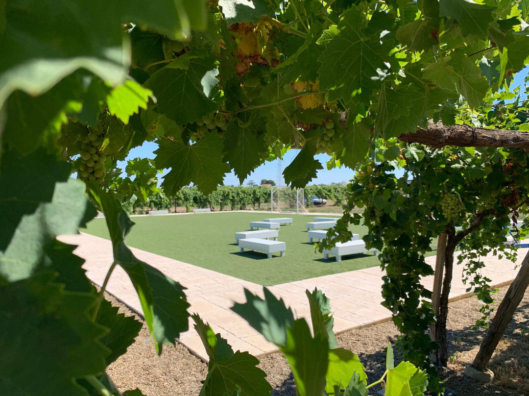 Masseria Agrituristica Lama San Giorgio主图