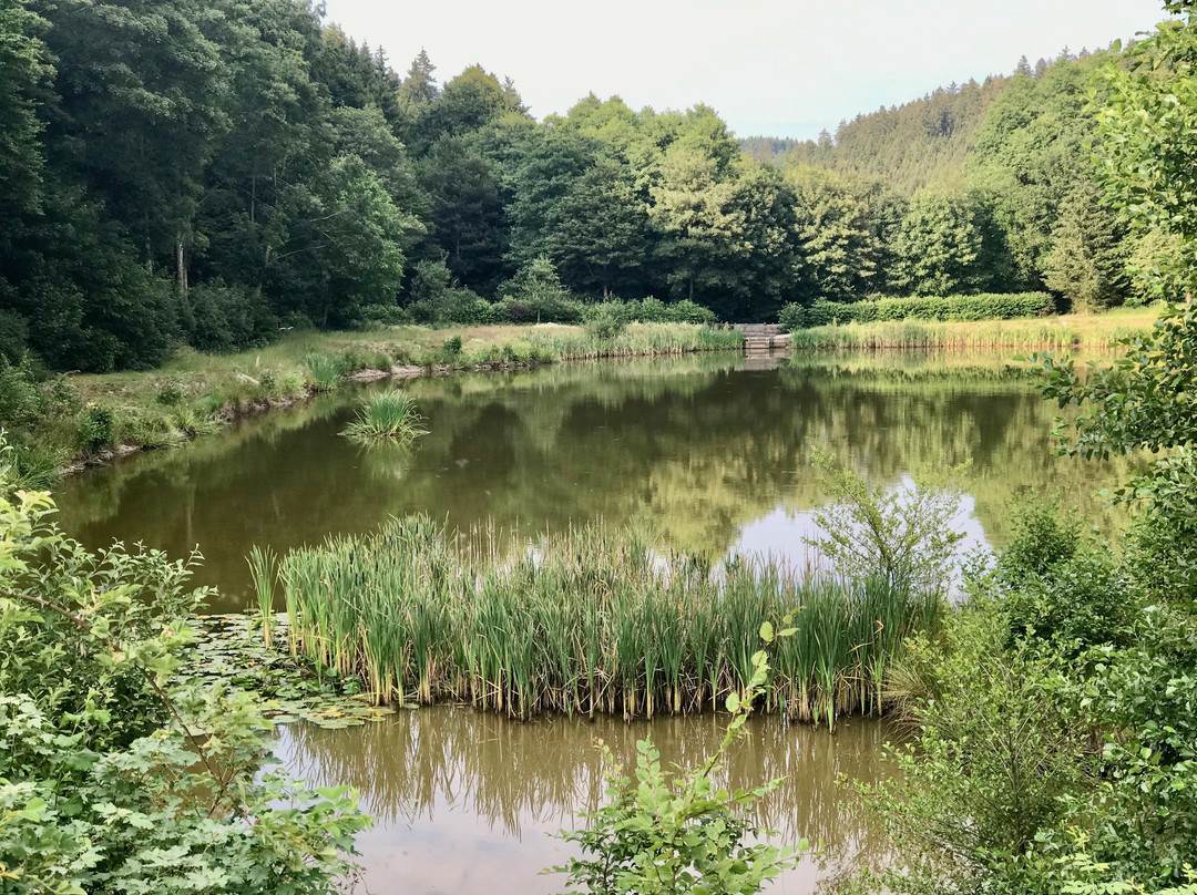 Bärenfichtenweiher-Schmitten必去景点
