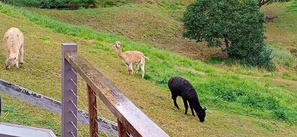 Blue Summit Cottages主图