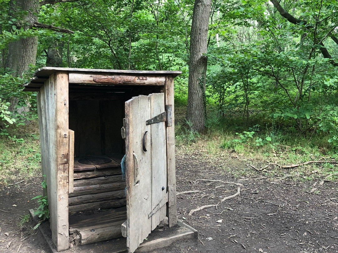 Plessey Woods Country Park-Bedlington必去景点