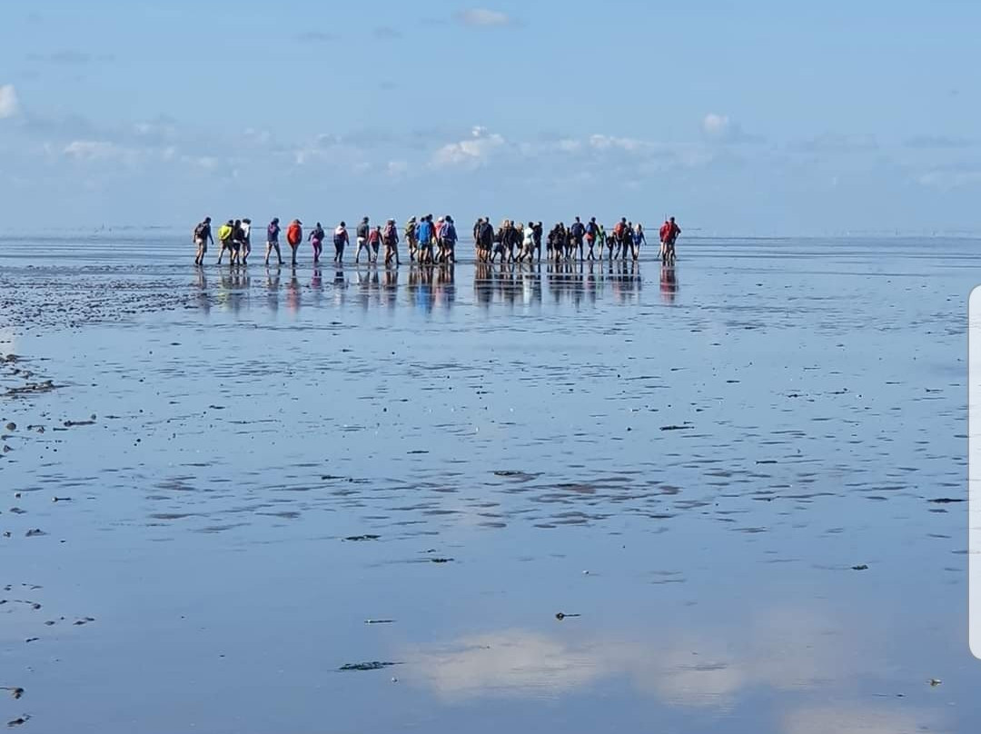 Wadlopen Pieterburen-Pieterburen必去景点