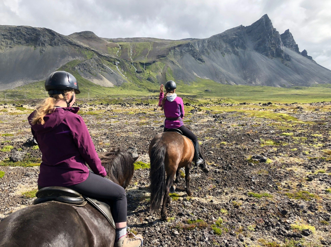 Lysuholl Short Rides-Snaefellsbaer必去景点
